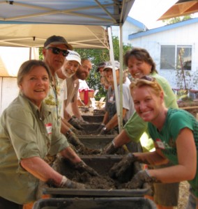many hands make light work
